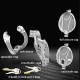 Male Chastity Cage Openable Ring Disassemble Flip Design -Clear