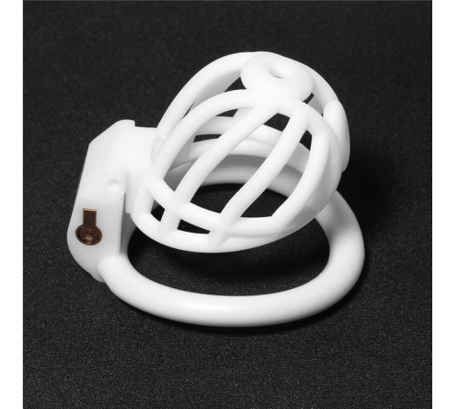 PA Ring New Design Male Chastity Device White