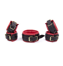 Красный ігор набор с золотой фурнитурой Red Gold Bondage Kit 3 Pieces