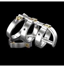 Stainless Steel Male Chastity Device Punk Style Cock Cage Hinged Penis Ring Screws Lock A