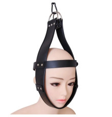 Leather Hood Head Immobilization Harness