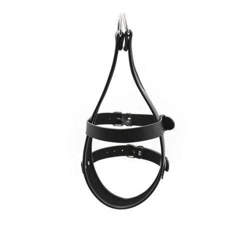 Leather Hood Head Immobilization Harness