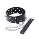 Ошейник с шипами и поводком Bdsm Collar Black