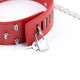 Ошейник с шипами и поводком Bdsm Collar Red