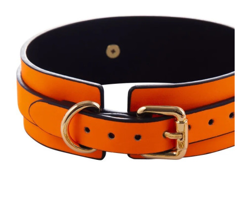 Ошейник с поводком Glow in the Dark Leather Orange Collar