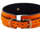 Ошейник с поводком Glow in the Dark Leather Orange Collar