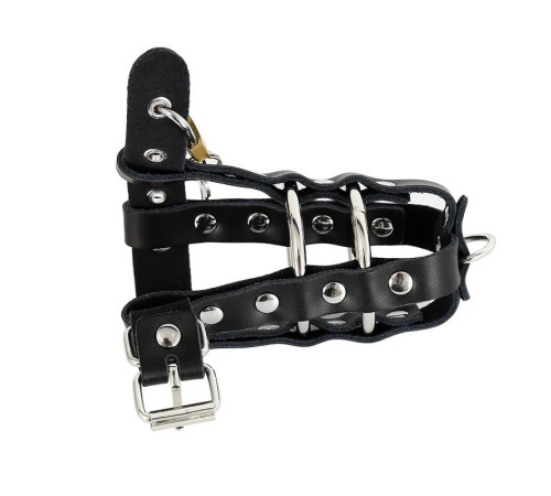 Cock Strap with Lock