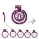 Мужской пояс верности 3D Mini Chastity Cage ZX-1Z Flat Ring Arc-shaped ring Purple