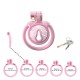 Мужской пояс верности 3D Mini Chastity Cage ZX-1Z Flat Ring Arc-shaped ring Pink