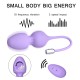 WY0569 VICTORIA-Sexual Vibrator electromagnetic steel ball impack Kegel Exercises Balls With Remote For Women Men