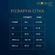 Сітчаста сукня Moonlight Model 17 XS-L  Black