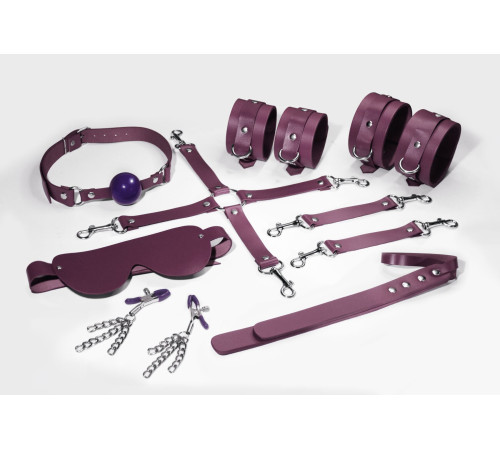 Набір Feral Feelings BDSM Kit 7 Burgundy, наручники, поножі, конектор, маска, падл, кляп, затискачі