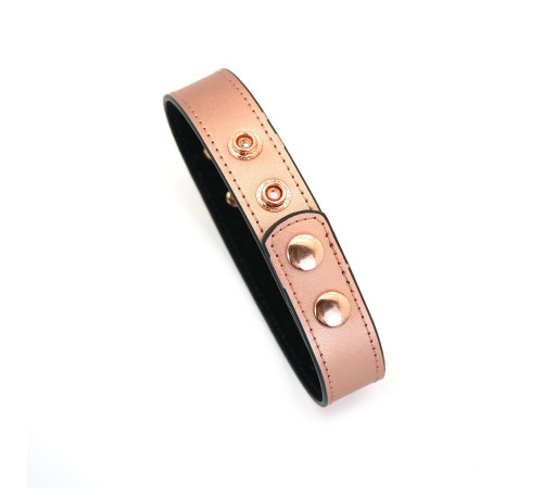 Нашийник із затискачами для сосків Liebe Seele Rose Gold Memory Collar with Nipple Clamps