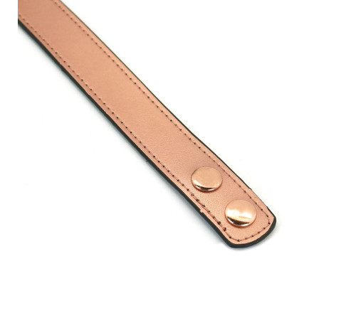 Нашийник із затискачами для сосків Liebe Seele Rose Gold Memory Collar with Nipple Clamps