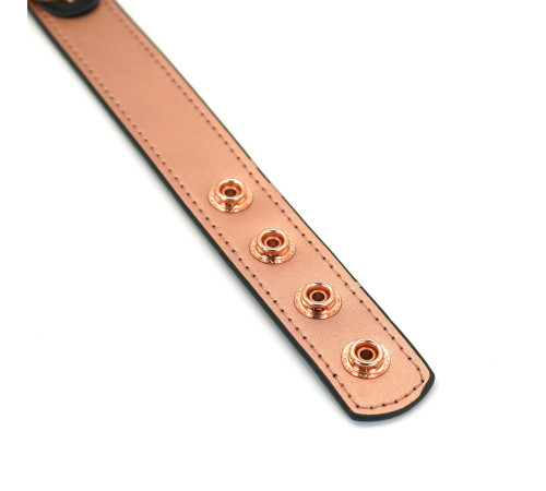 Нашийник із затискачами для сосків Liebe Seele Rose Gold Memory Collar with Nipple Clamps