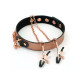 Нашийник із затискачами для сосків Liebe Seele Rose Gold Memory Collar with Nipple Clamps