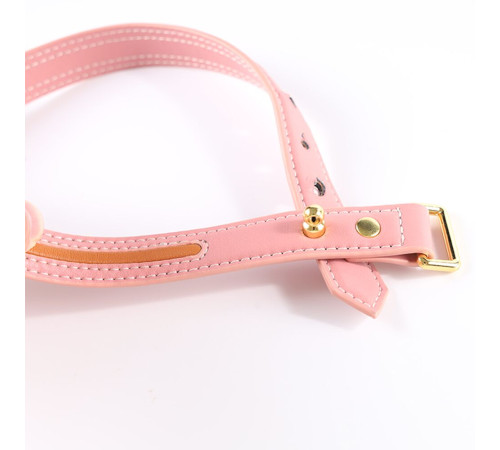 Повідець LOCKINK SEVANDA Love Heart Butterfly Leather Collar Set - Pink