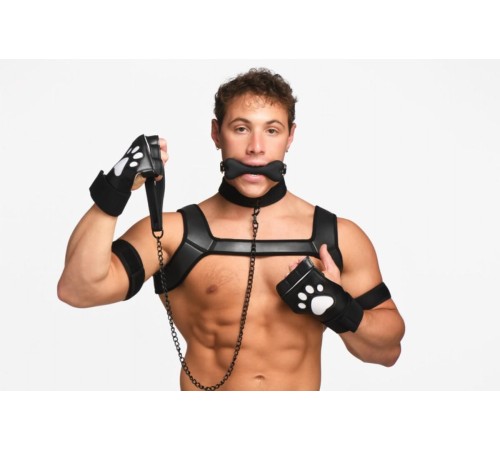 Набір BDSM цуценя Master Series Luxury Pup Arsenal Set - Black